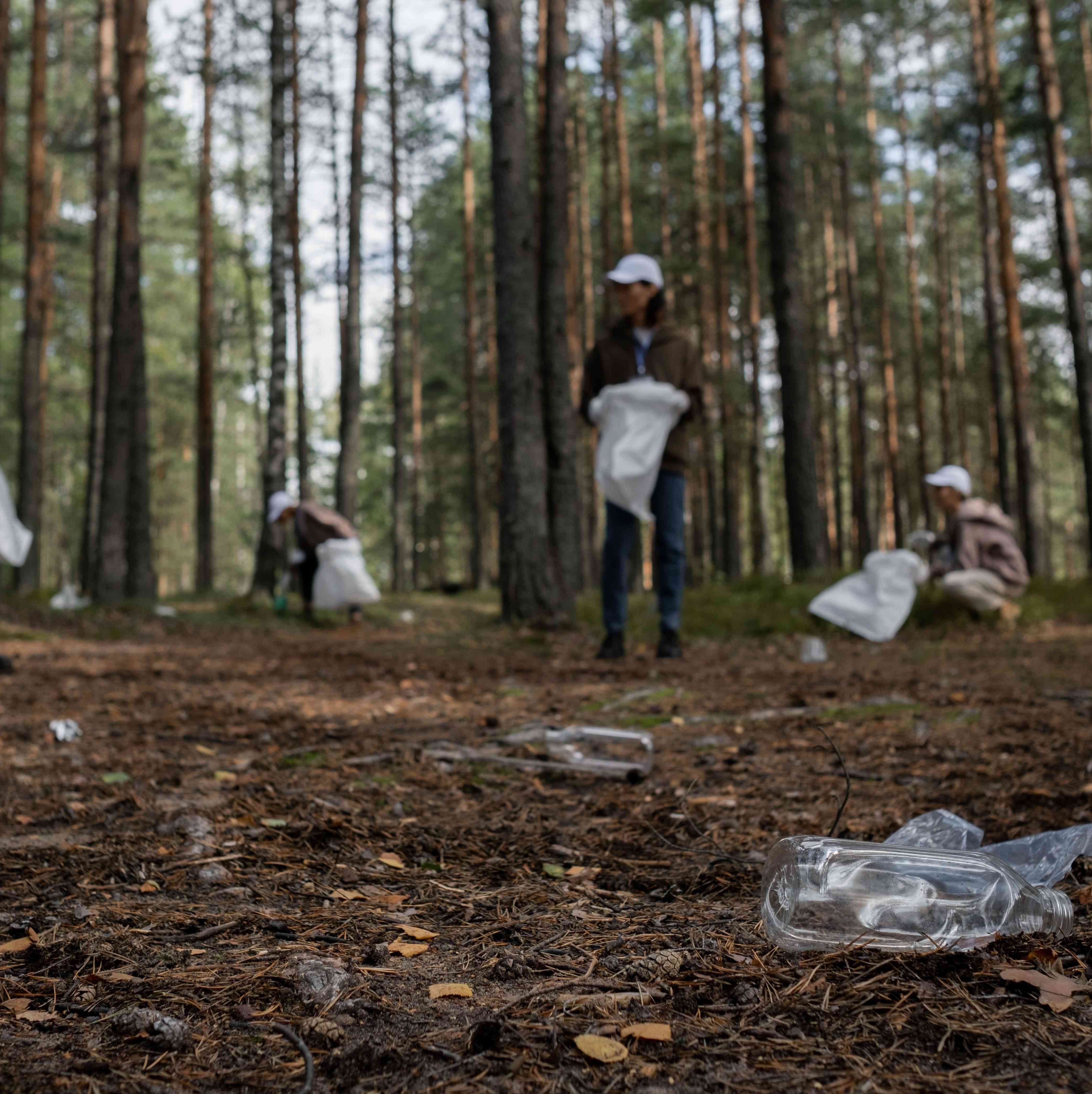 People collecting plastic waste in the wood